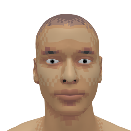 pixelated